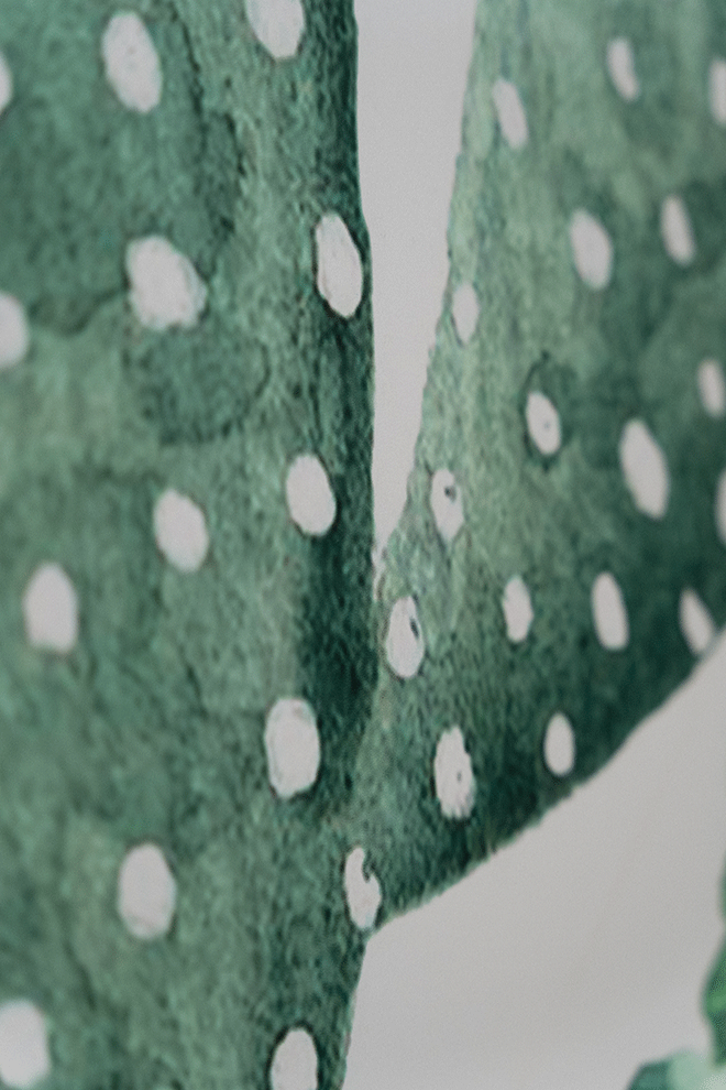 Foto 19 - Hotel IH - Estudio Arquitectura Interior de Aurora Monasterio.